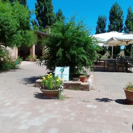 Agriturismo I Bosconi Τσεζένα Εξωτερικό φωτογραφία