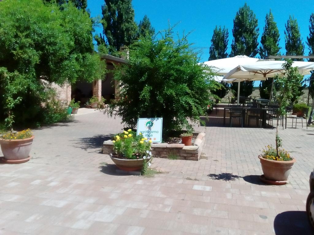 Agriturismo I Bosconi Τσεζένα Εξωτερικό φωτογραφία